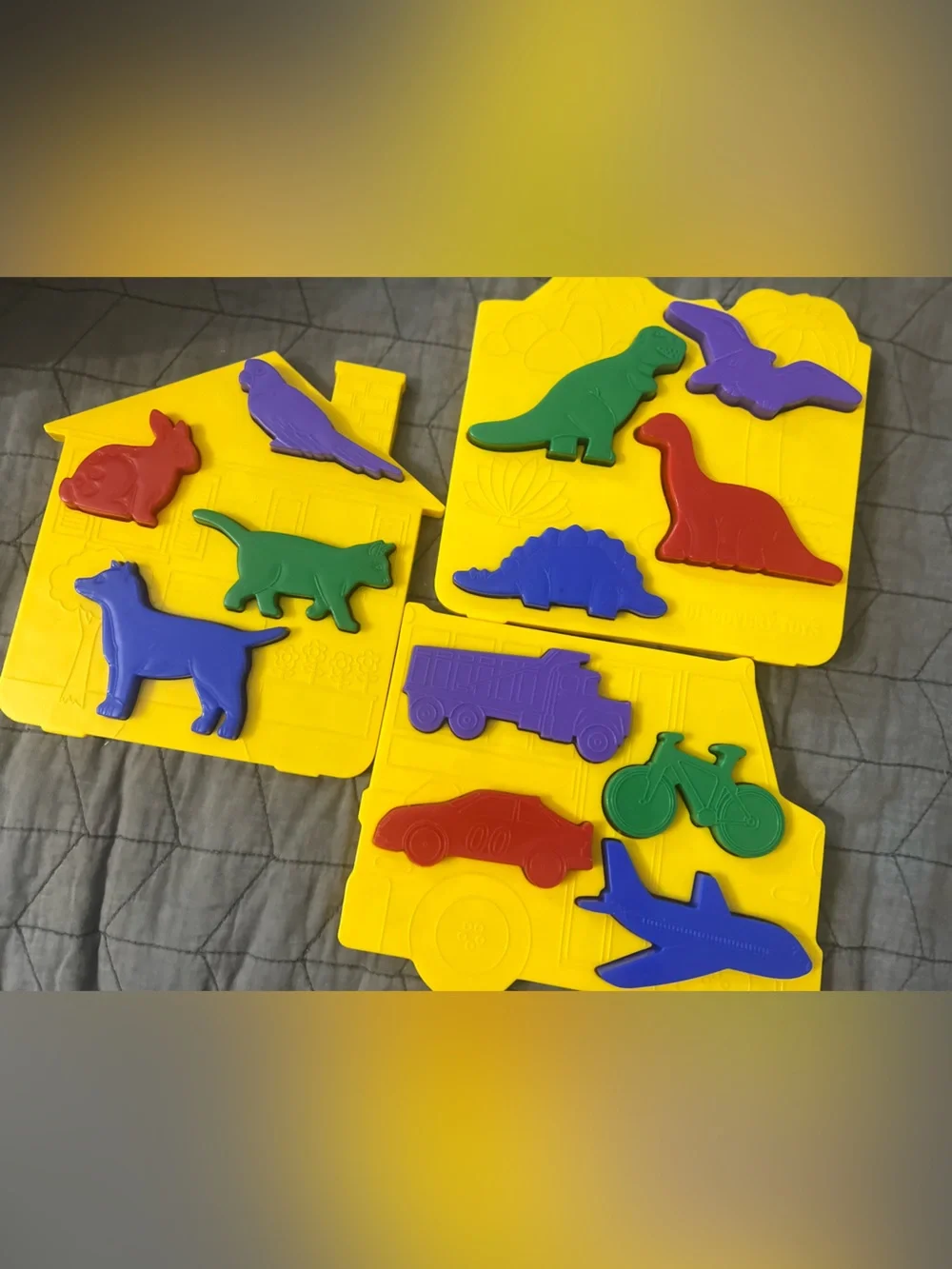 Discovery Place & Trace Shape Puzzle Set